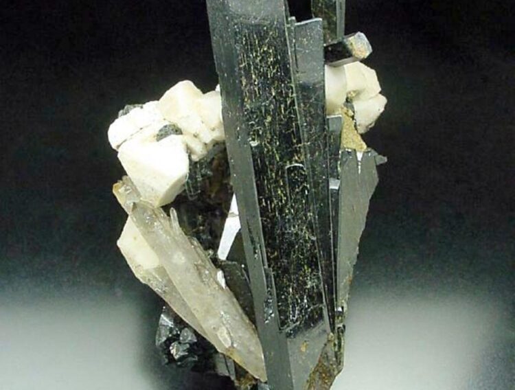 elza sterkhova feet 2