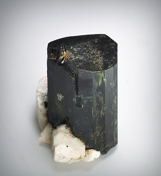 elza sterkhova feet 6