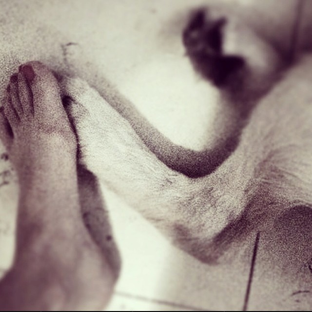 emanuela postacchini feet 5