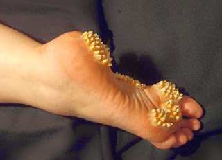 emeline rodrigues valejos feet 1