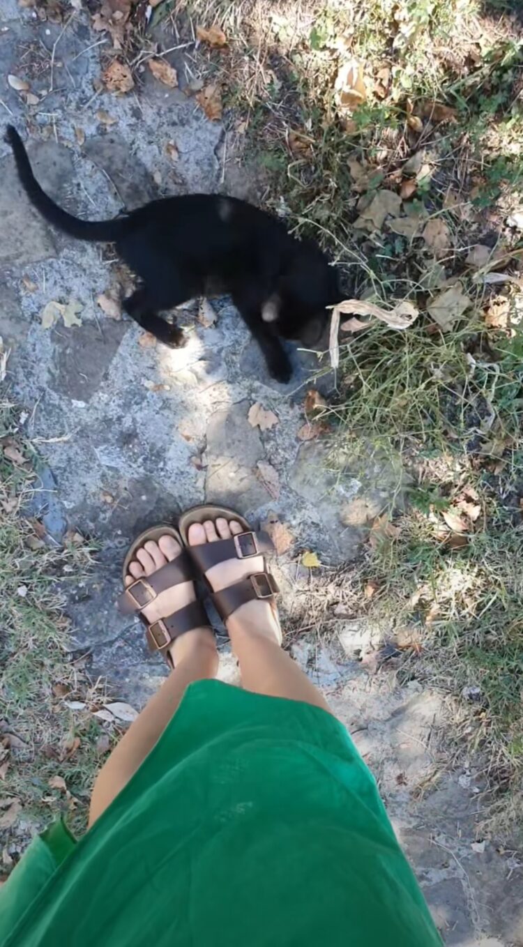 emilie cocquerel feet