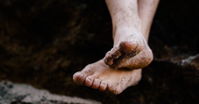 emily dickinson feet 1