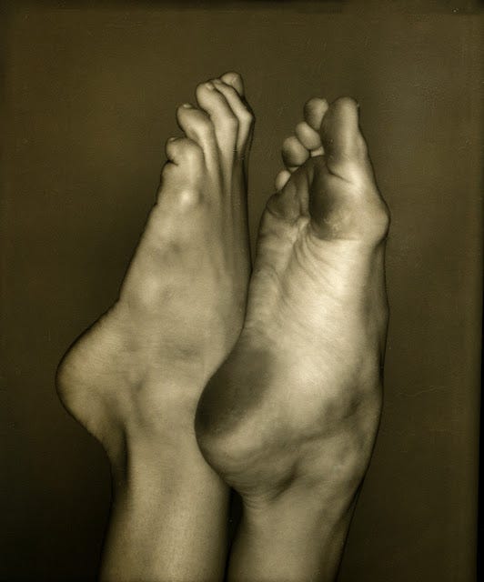 emily dickinson feet 2