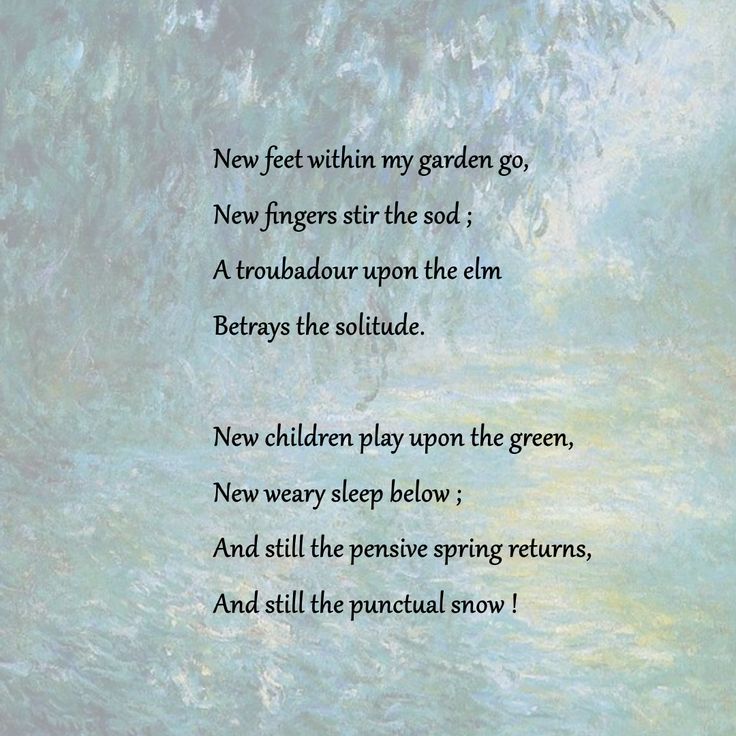 emily dickinson feet 6