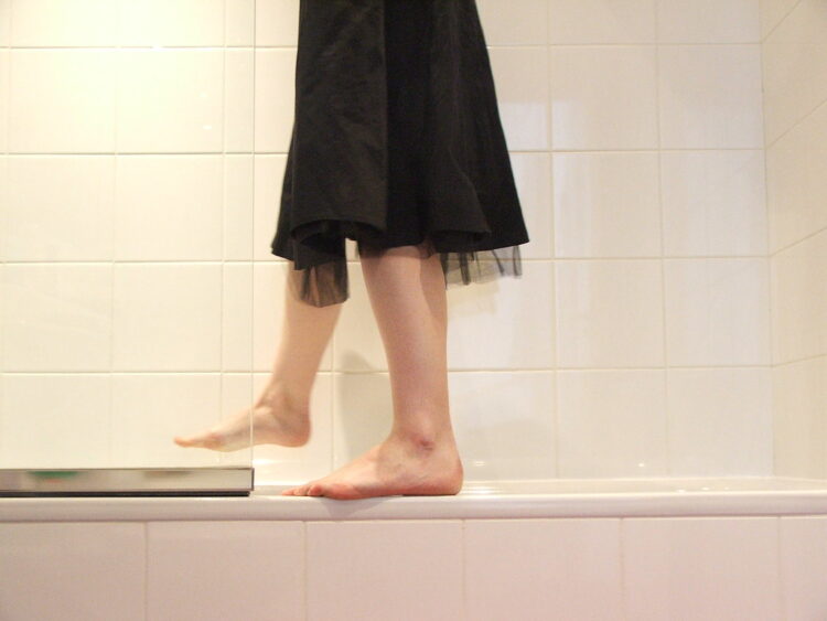 emily dickinson feet