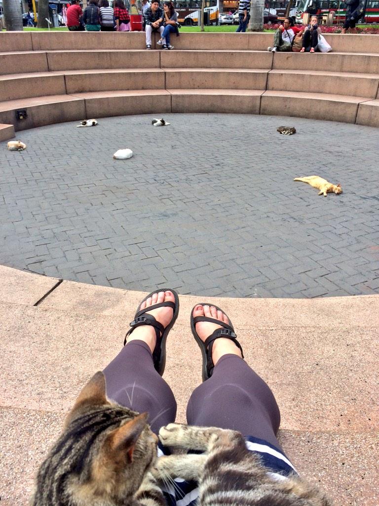 emily graslie feet 3