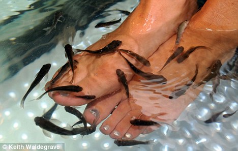 emily maitlis feet 2