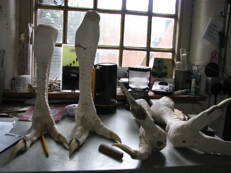 emily mayer feet scaled