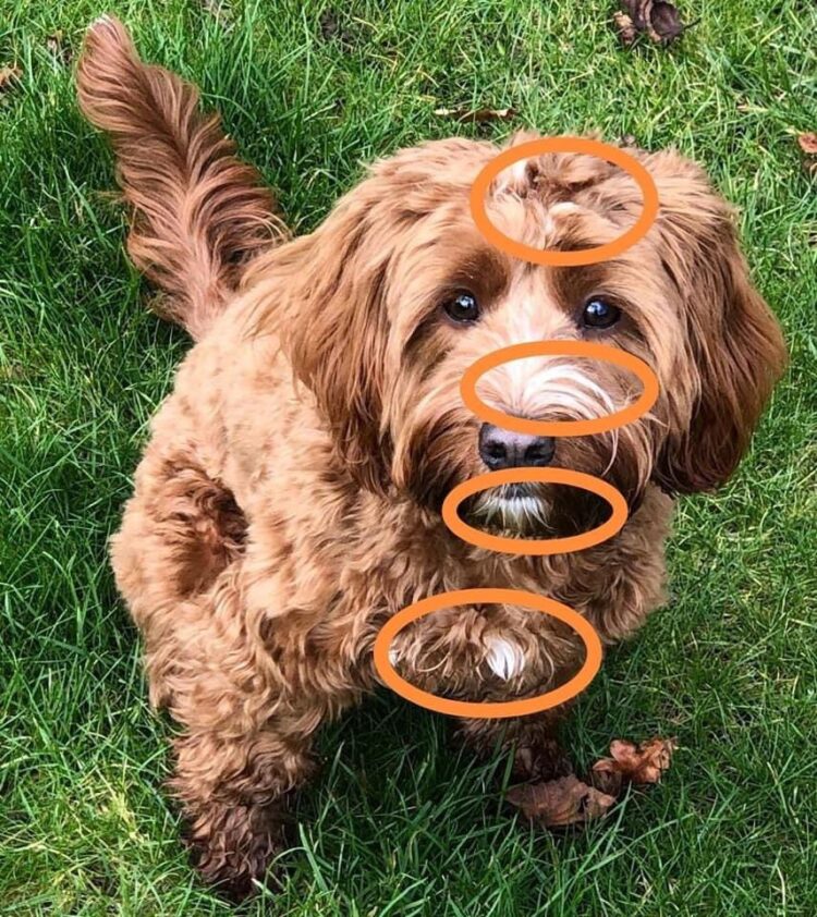 emily sarah geere feet 3