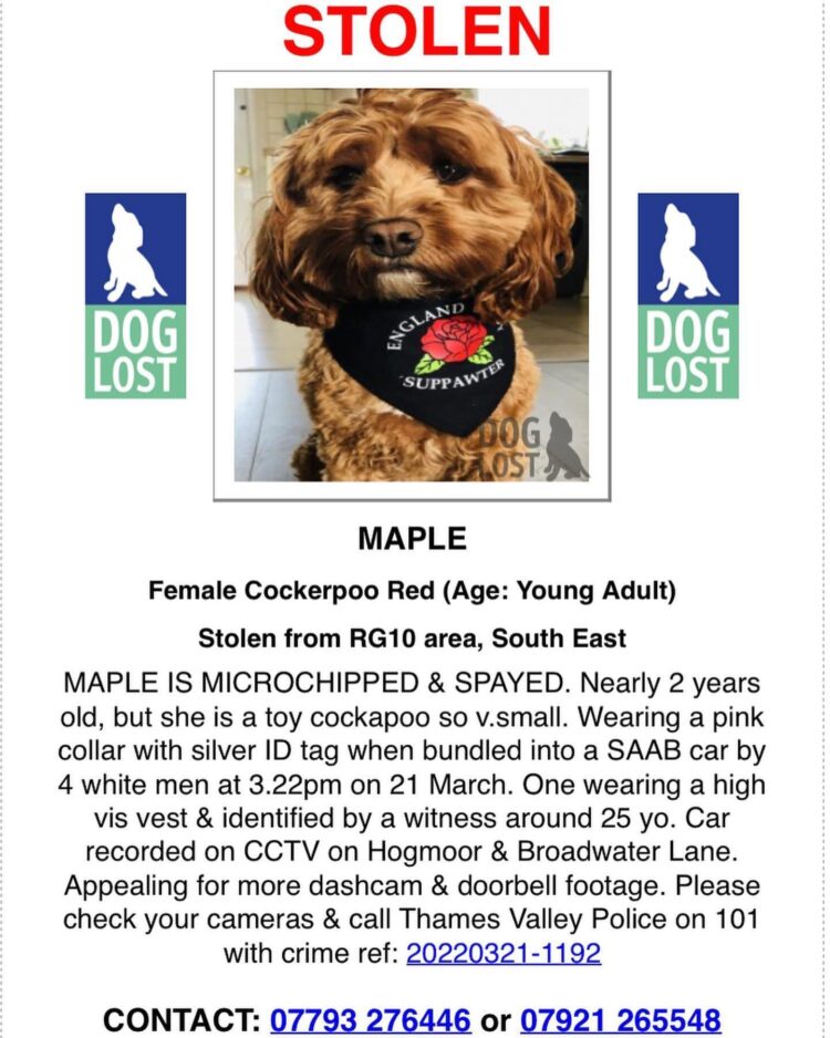 emily sarah geere feet 4