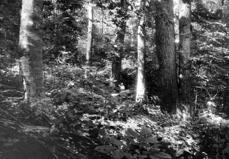 emma lucy braun feet 2