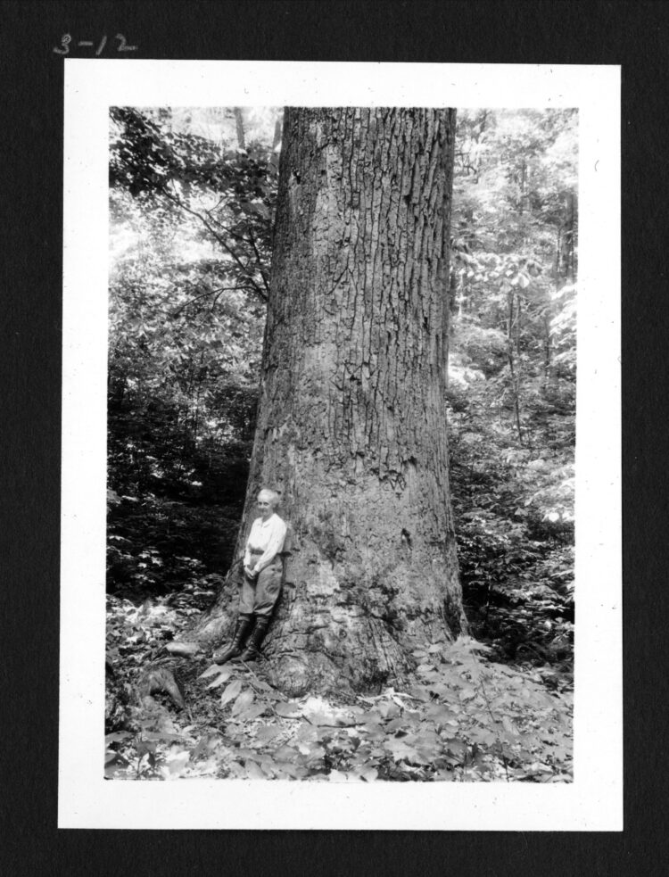 emma lucy braun feet 3