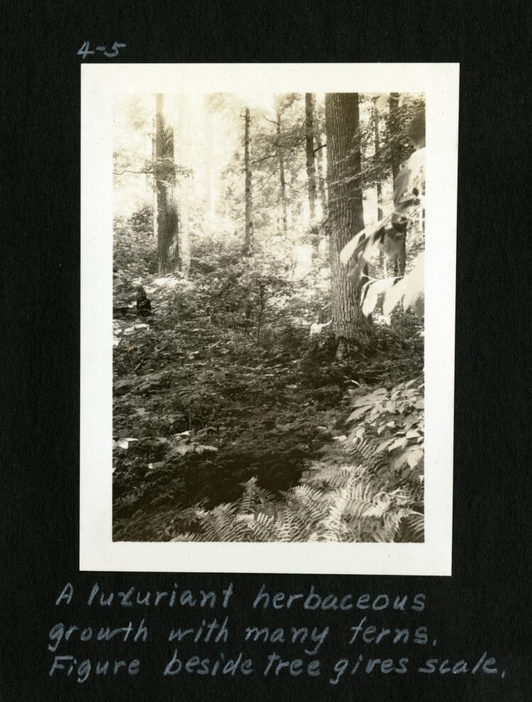 emma lucy braun feet 4