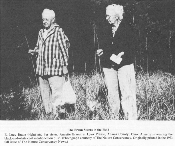 emma lucy braun feet