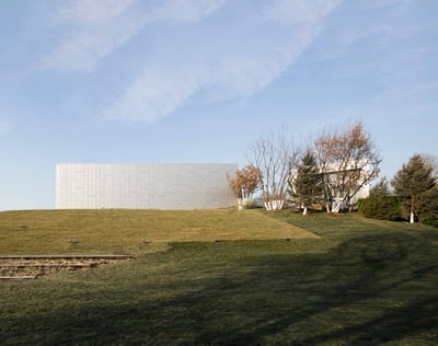 emmanuelle guimaraes feet 6