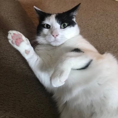 emorsomething feet 6