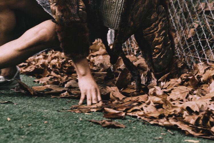 ena matsumoto feet 6