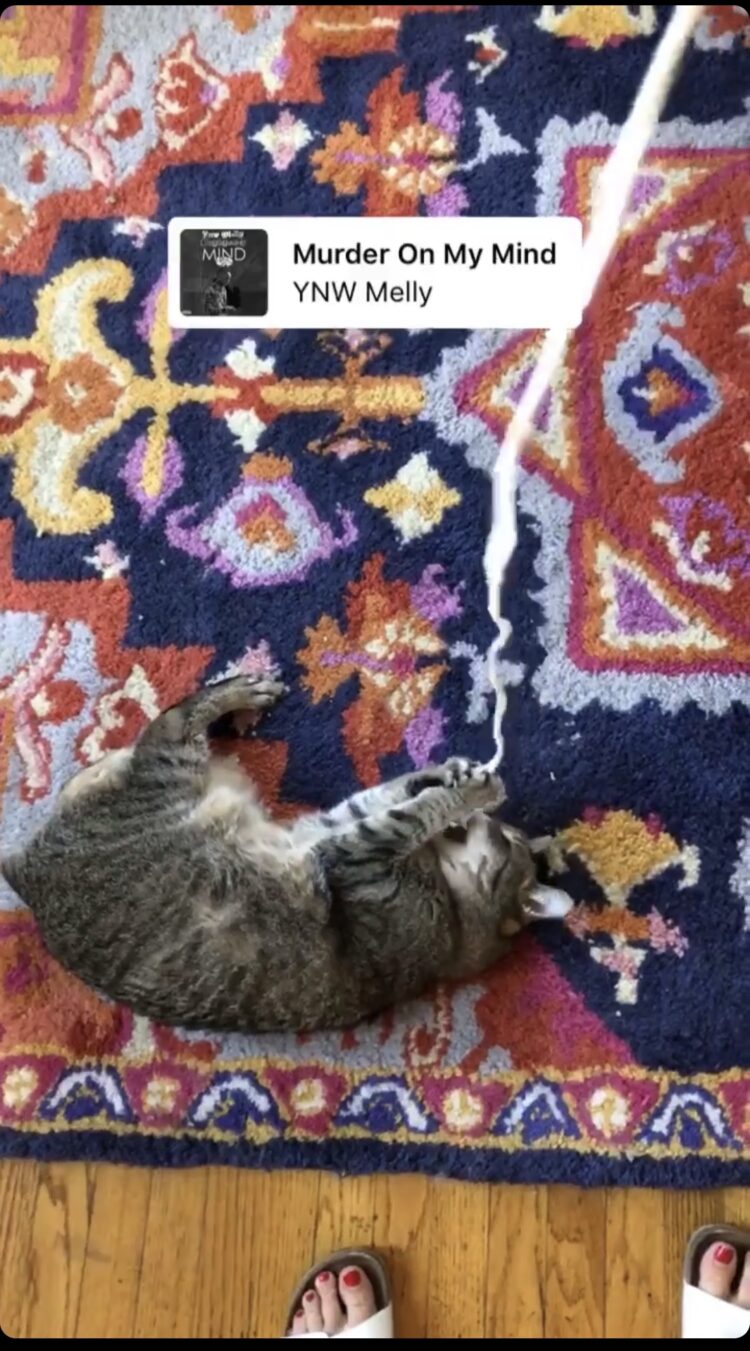 erin gloria ryan feet 4