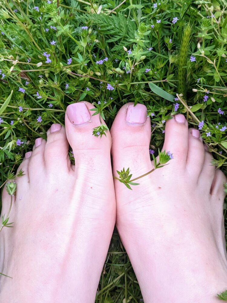 erin la rosa feet