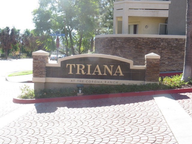 ery triana hadi feet 6