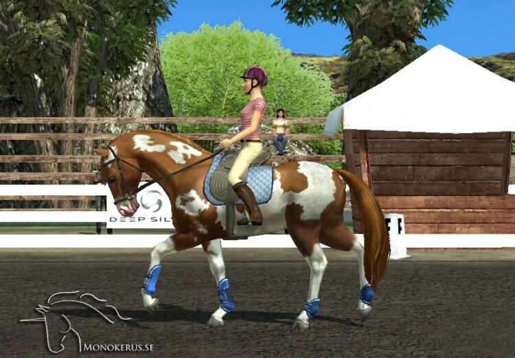 esmeralda silverforce feet