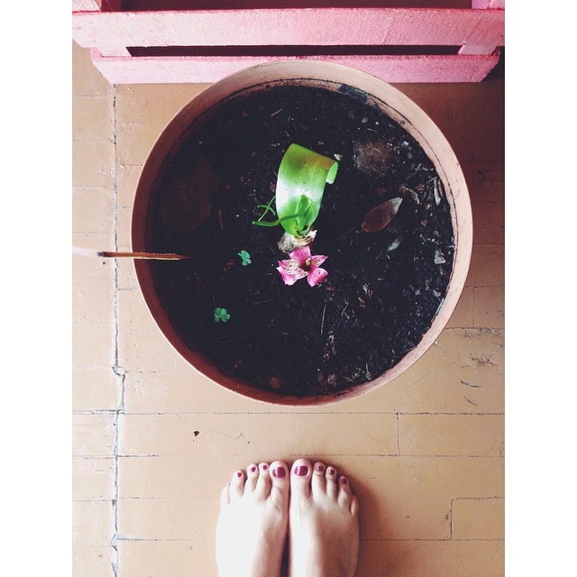 estefania villarreal feet 6