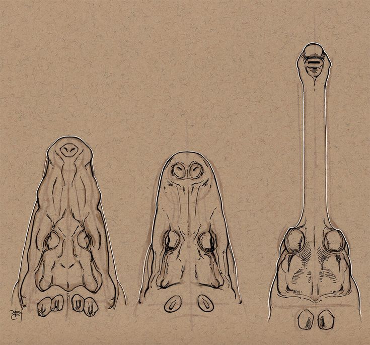 ester conceicao feet 6