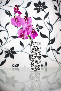 eugenia applebum feet 3