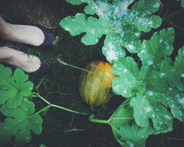 eva kosmas flores feet