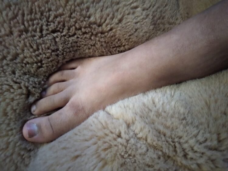 eve gordon feet 1 scaled