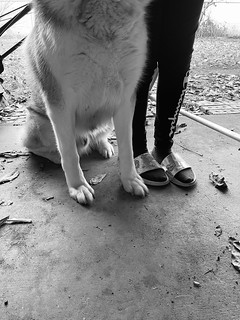 evelyn beltran feet 2