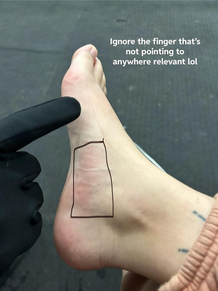 evgenia pavlov feet 3