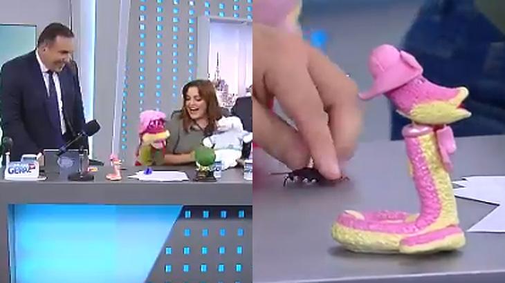 fabiola reipert feet 4