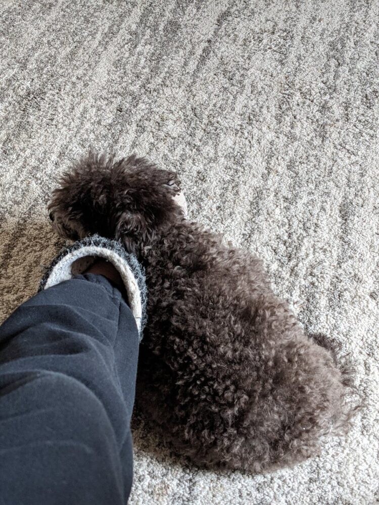 falsesymmetry feet 2