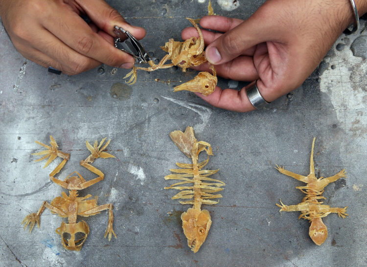 faneta rahma feet 2 scaled