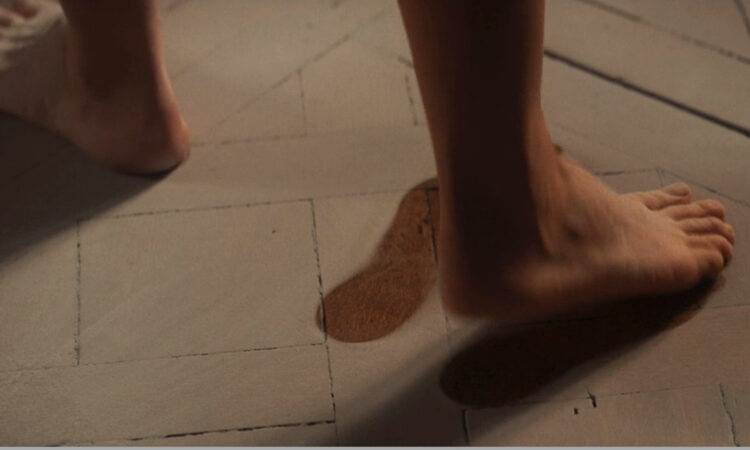 fanny ardant feet 1