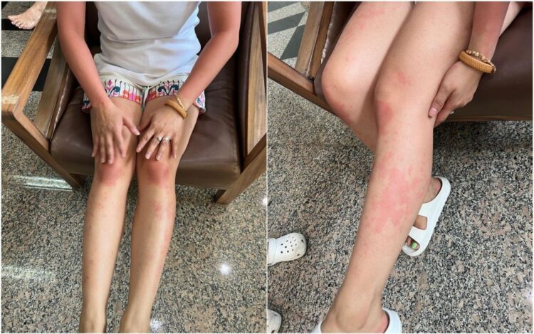 farida nurhan feet 6