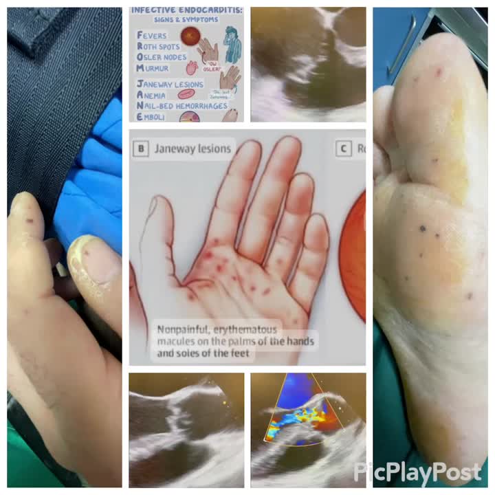 fatima arjamandi feet 3