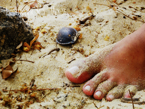 fernanda alves feet 1