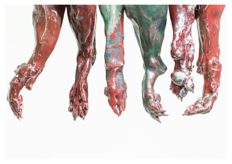 fernanda cortes feet 6