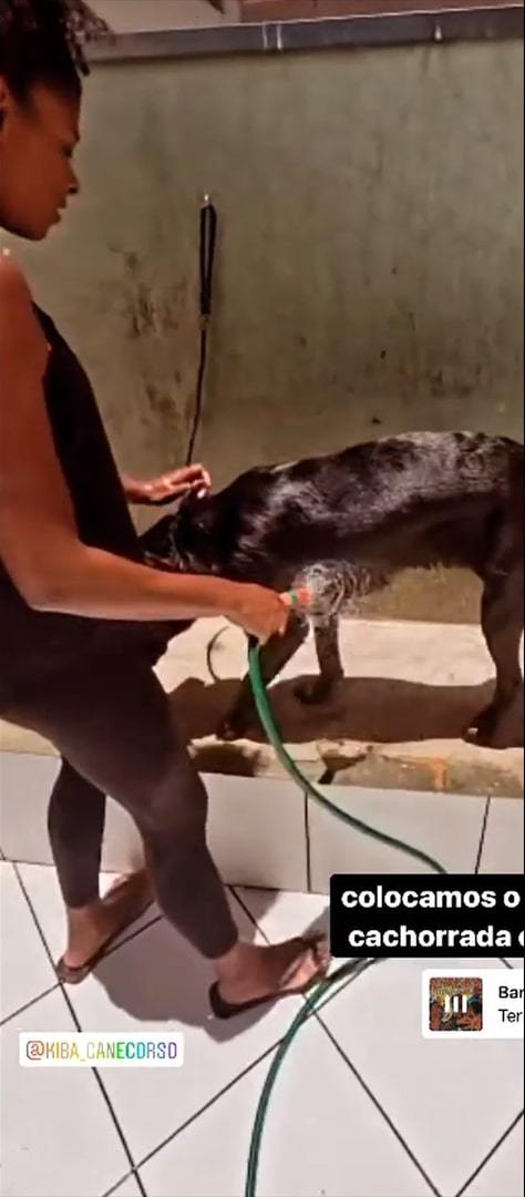 fernanda garay feet 1