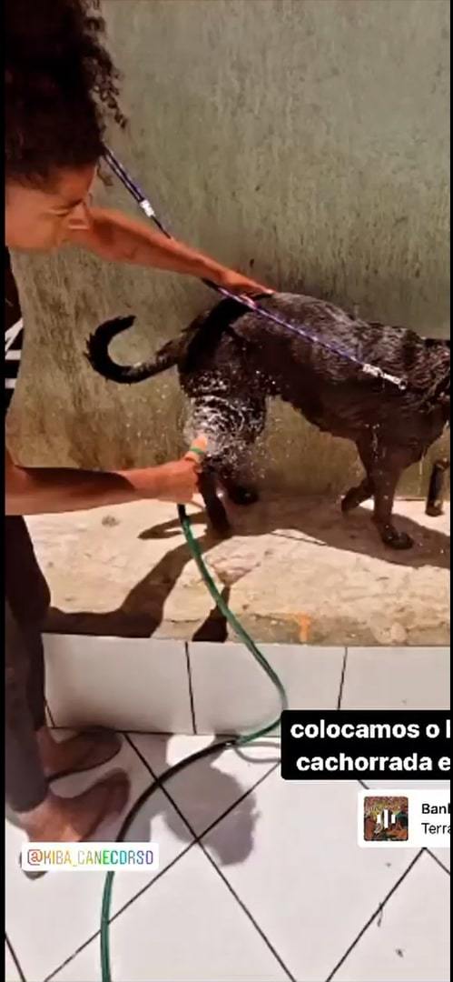 fernanda garay feet 5