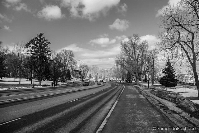 fernanda pacheco feet 5