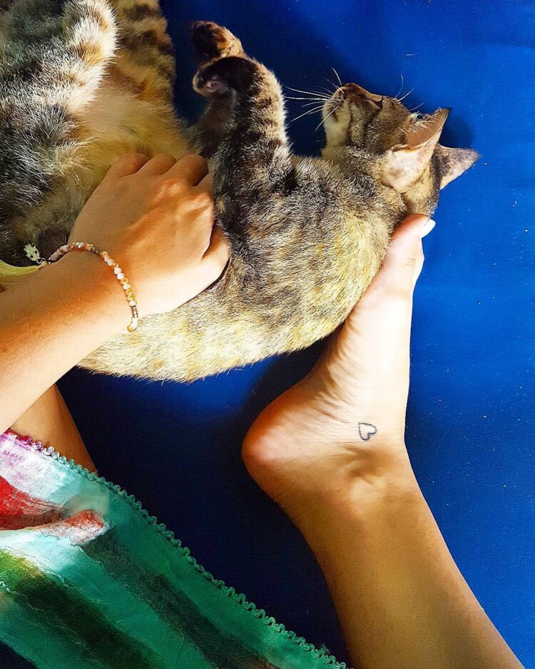 filipa franco feet 4