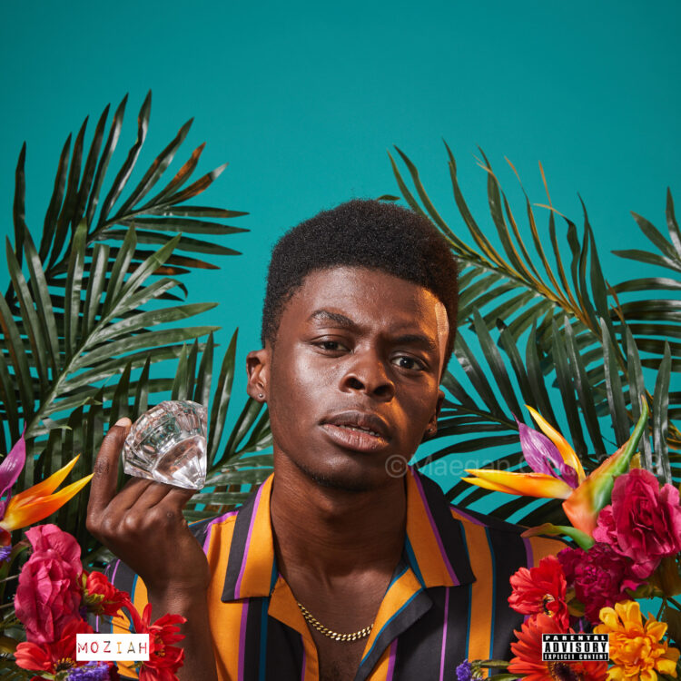 finessa hudgens feet 4