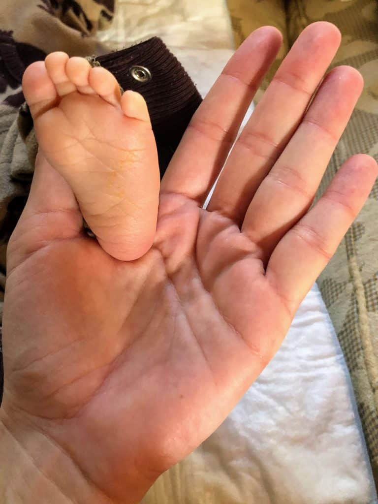 fiorella bruno feet 4