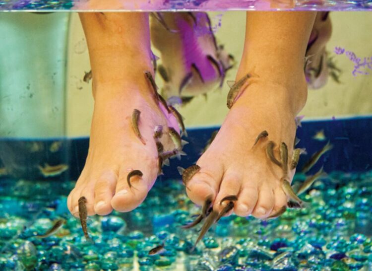 fishie fish feet 4