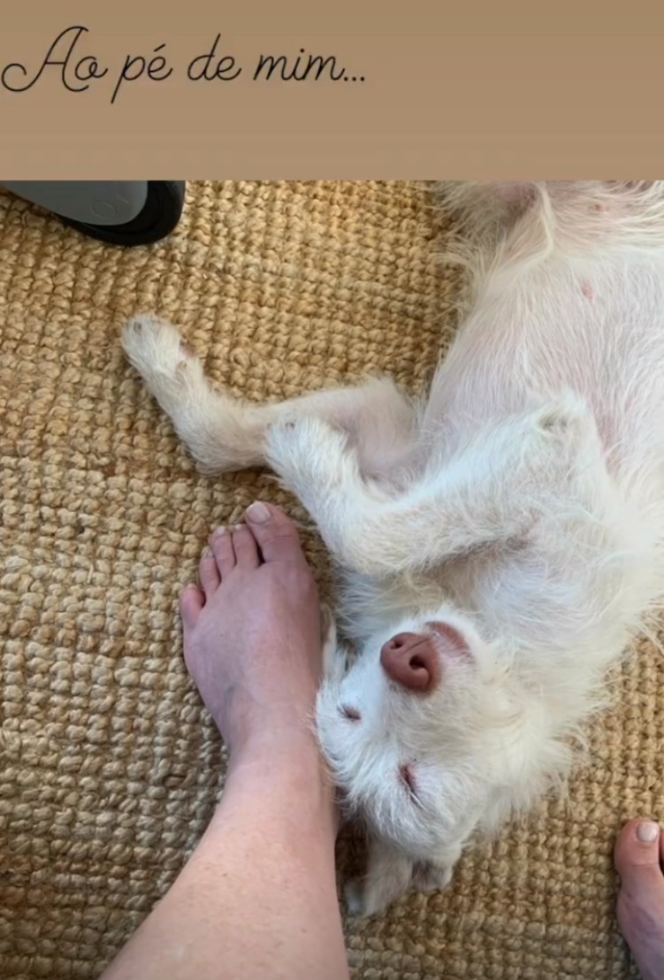 flavia melissa feet 6