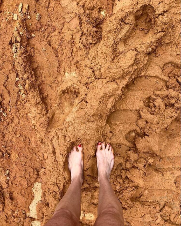 flavia monteiro feet 5