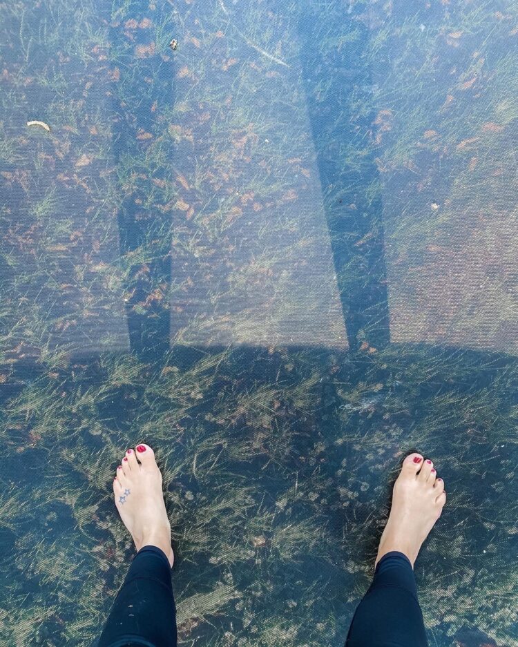 fleur de force feet 4